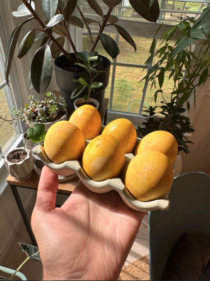Concrete Egg Tray, Kitchen Organizer
