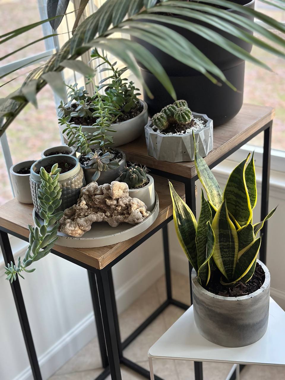Modern Handmade Concrete Plant Pot