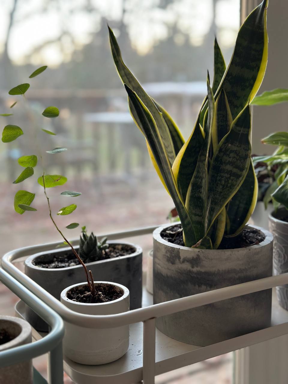 Modern Handmade Concrete Plant Pot