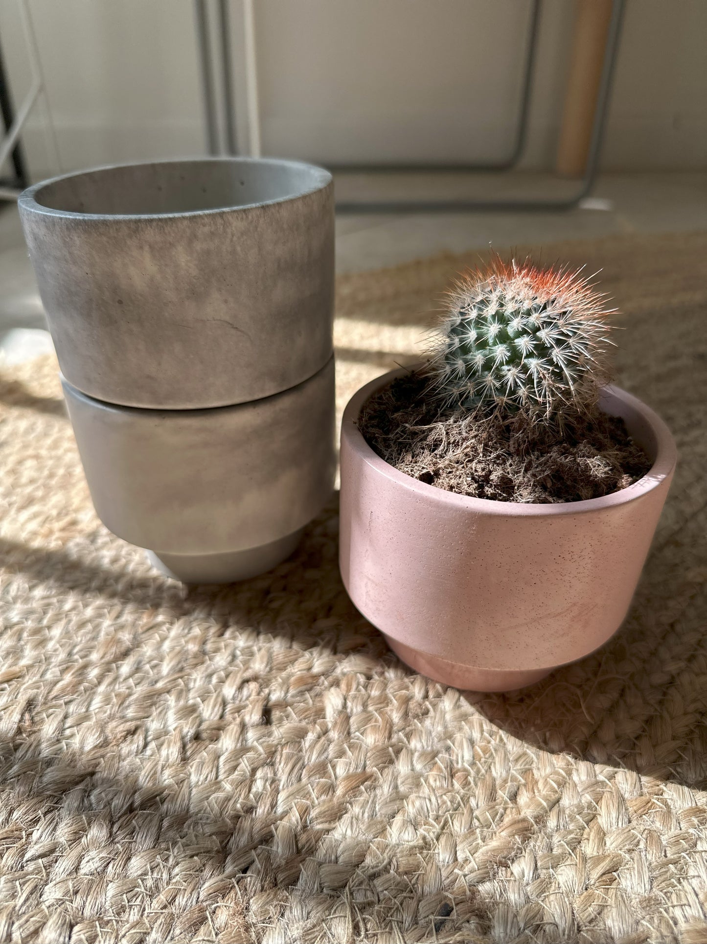 Modern Handmade Concrete Plant Pot