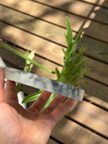 Concrete Organizer & Burning Tray for Incenses